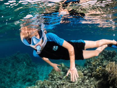 Bootsfahrt und Schnorcheln im Pelagos-Schutzgebiet in Antibes