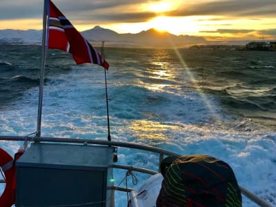 Midnight Sun Cruise starting from Tromsø, Norway