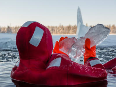 La glace arctique flottant à partir de Levi