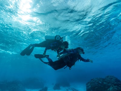 Baptême de plongée sous-marine à Bora Bora