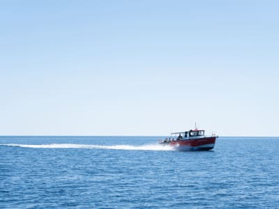 Boat trip in Corsica from Sagone