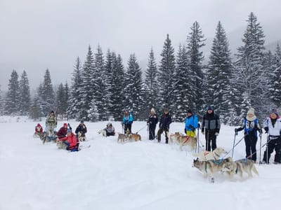 Snowshoe trekking with huskies in Hohentauern near Gesäuse National Park