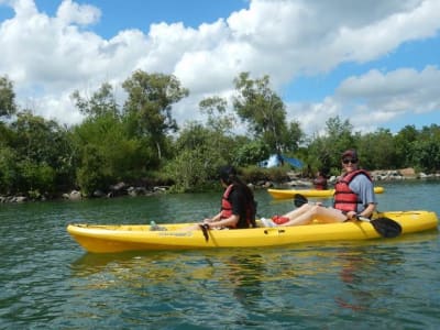 Mangrove Kayaking in Pulau Ubin, Singapore