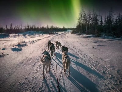 Traîneau à chiens sous les aurores boréales depuis Rovaniemi