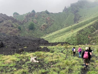 Randonnée matinale sur l'Etna, Sicile