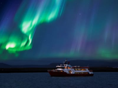 Crucero para ver auroras boreales en Reykjavík