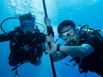 Level 1 diving course in Sainte-Luce, Martinique