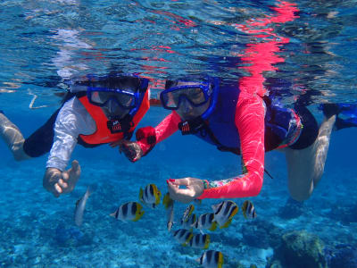 Guided Snorkelling Excursion in Bora Bora