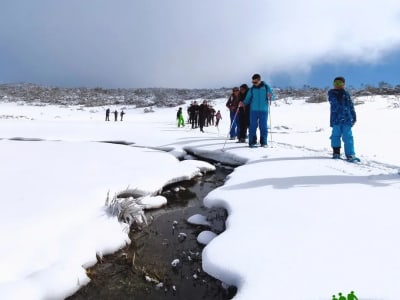 Parcours de raquettes à neige de niveau intermédiaire