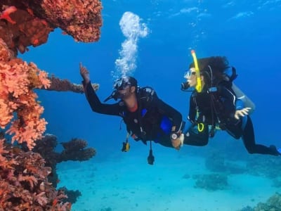 Primera inmersión de buceo 6 m e inmersión de exploración 12 m en Grand Baie, Mauricio