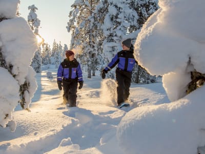 Excursión con raquetas de nieve a la aurora boreal en Ylläs