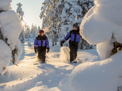 Nordlicht-Schneeschuhwanderung in Ylläs