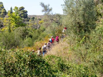 Wandern in Neos Marmaras und Parthenonas, Chalkidiki