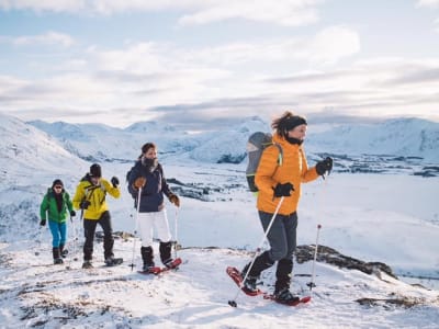 Randonnée en raquettes d'une demi-journée à partir d'Eggum dans les Lofoten