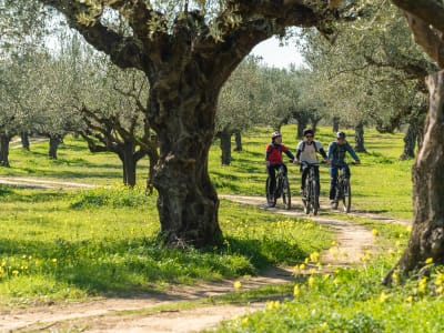 E-Bike-Oliven-Tour in Kalamata