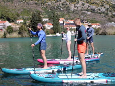 Excursion guidée en stand up paddle sur la rivière Ombla au départ de Dubrovnik