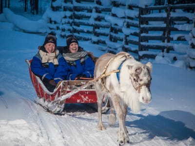 Safari aux aurores boréales avec des rennes à Saariselkä