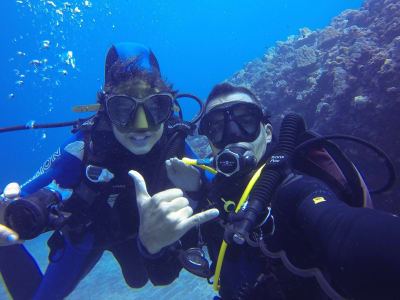 Curso de Buceo Nivel 1 en Le Port, Isla Reunión