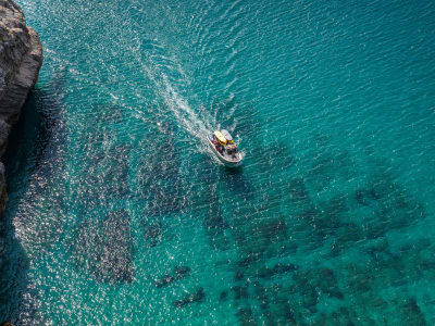 Paseo privado en barco desde el puerto de Sesimbra, Parque Natural de Arrábida