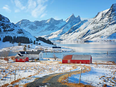 Winter Photography Tour to Reine in Lofoten from Svolvær