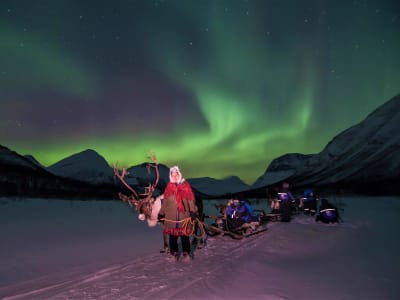 Excursión en trineo de renos bajo la aurora boreal en Tromsø