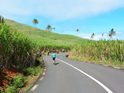 Excursión en bicicleta eléctrica en Chamarel, Mauricio