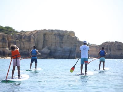 Balade en stand up paddle depuis Praia do Castelo à Praia do Ninho das Andorinhas à Albufeira, Algarve