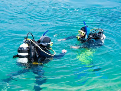 Discover Scuba Dive in the Lofoten Archipelago from Ballstad