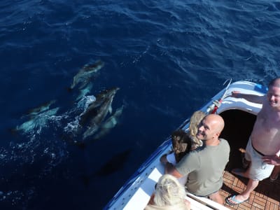 Excursion en bateau depuis Morro Jable, Fuerteventura