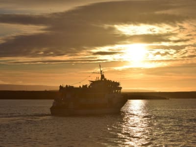 Whale Watching Midnight Sun Tour, Reykjavík