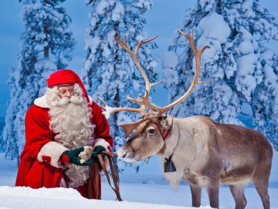 Visite du village du Père Noël en Laponie, Rovaniemi