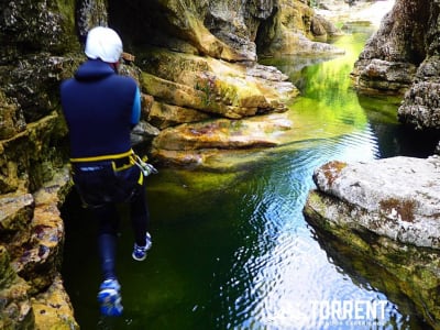 Canyoning excursion to Almbach Gorge near Salzburg