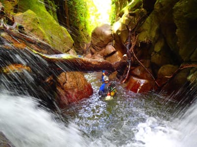 Vauchelet canyon in Basse-Terre, Guadeloupe