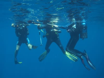 ANMP Level 1 diving course in Le Marin, Martinique