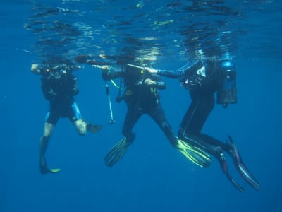 Curso de buceo de nivel 1 ANMP en Le Marin, Martinica