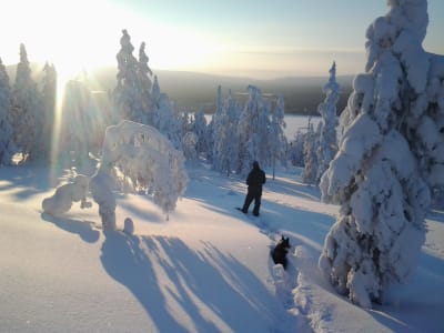 Snowshoeing in Pyhä-Luosto National Park