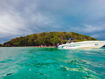 Tour en bateau dans la baie du Robert, Martinique