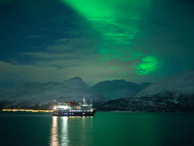 Crucero nocturno de observación de ballenas y auroras boreales desde Tromsø