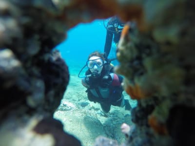 Geführte Abenteuertauchgänge vom Mononaftis Strand in Agia Pelagia bei Heraklion