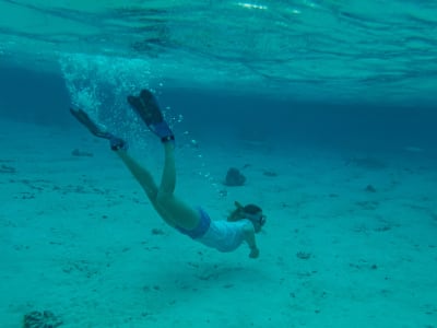 Snorkeling at motu Ofetaro in Raiatea, French Polynesia