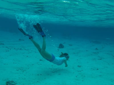 Snorkel en motu Ofetaro en Raiatea, Polinesia Francesa