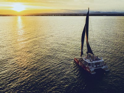 Crucero en catamarán al atardecer por el golfo de Aigues-Mortes desde La Grande-Motte