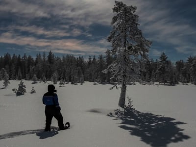 Nordlicht-Schneeschuhwanderung in Saariselkä