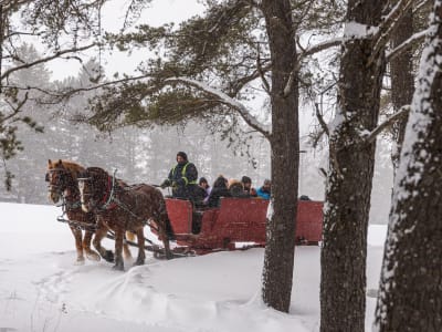 Paseo en trineo por Mont-Tremblant, en las Laurentides