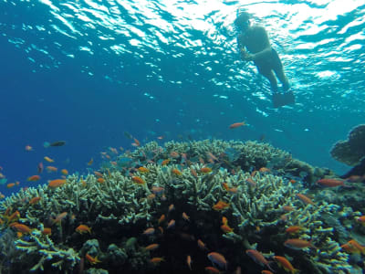 Snorkelling Excursion in the Lagoon of Mayotte