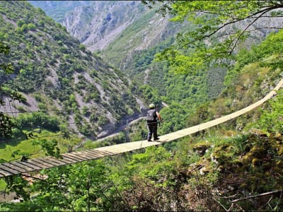 Puentes colgantes y circuitos de tirolina en el Parque Natural de Ponga