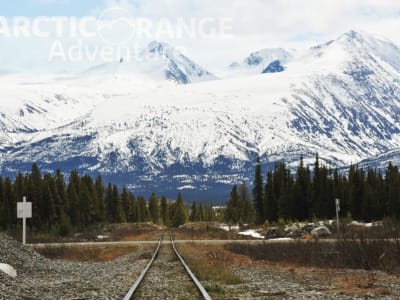 Excursion touristique et voyage en train de Whitehorse (Yukon) à Skagway (Alaska)