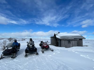 Motorschlittensafari in Fulufjällen, Provinz Dalarna