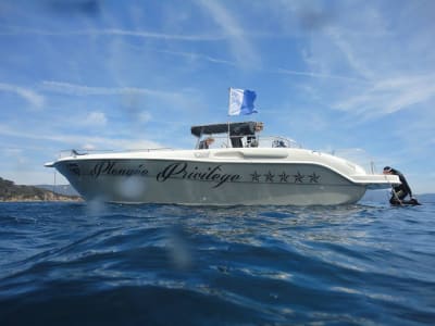 Buceo en la isla de Port-Cros desde Bormes-les-Mimosas, Var