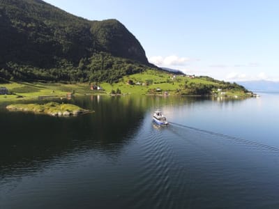 Crucero en barco por los fiordos de Sogndal a Fimreite